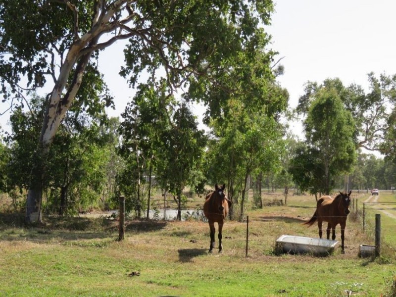 1424 Midge Point Rd, Midge Point QLD 4799
