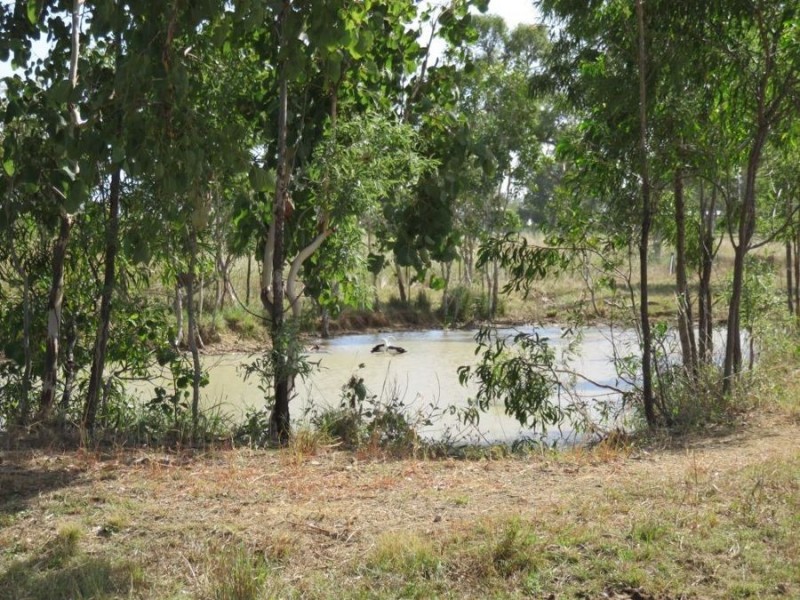 1424 Midge Point Rd, Midge Point QLD 4799