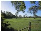 1446 Midge Point Rd, Midge Point QLD 4799