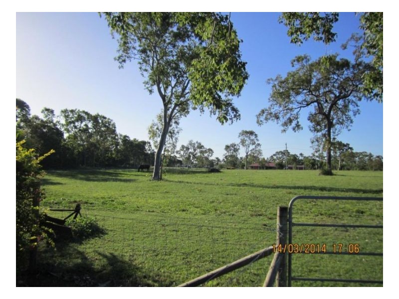 1446 Midge Point Rd, Midge Point QLD 4799