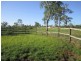 1446 Midge Point Rd, Midge Point QLD 4799