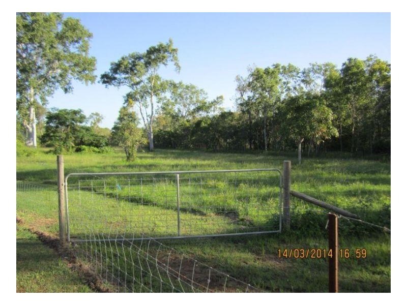 1446 Midge Point Rd, Midge Point QLD 4799
