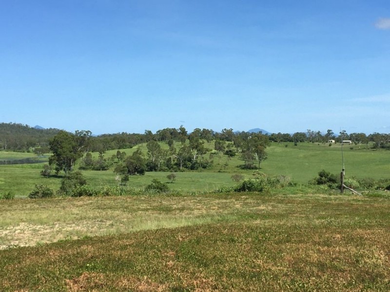 Lot 177 LINDEMAN DRIVE, Bloomsbury QLD 4799