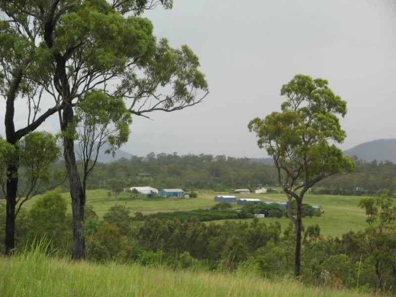 Lot 177 LINDEMAN DRIVE, Bloomsbury QLD 4799