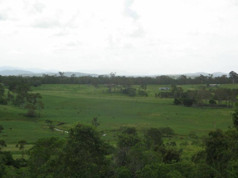 Lot 177 LINDEMAN DRIVE, Bloomsbury QLD 4799