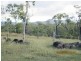 Lot 16 Llewellyn Road, Bloomsbury QLD 4799
