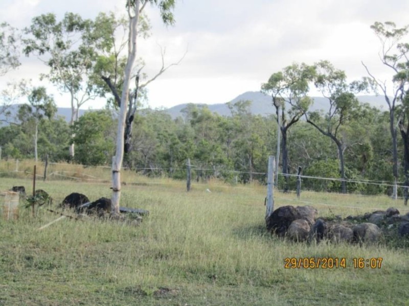 Lot 16 Llewellyn Road, Bloomsbury QLD 4799