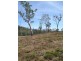 Lot 3 Snowgum Court Mountain Vista, Midge Point QLD 4799