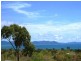 1323 Midge Point Road, Midge Point QLD 4799
