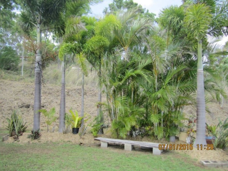 1323 Midge Point Road, Midge Point QLD 4799