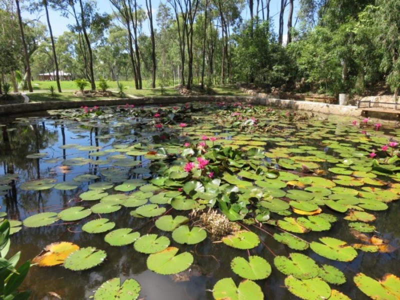 25 O’FLYNN CRESCENT, Midge Point QLD 4799