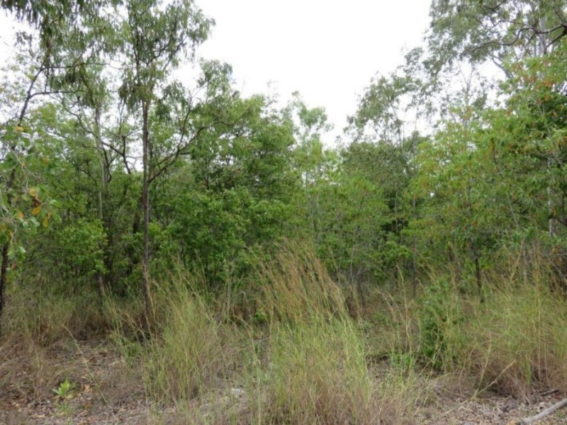 LOT 52 LELONA DRIVE, Bloomsbury QLD 4799
