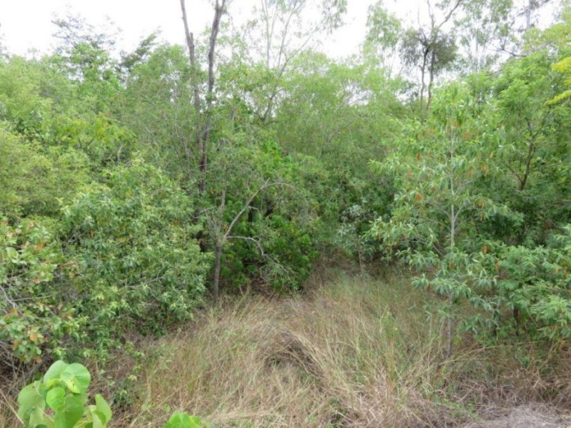 LOT 52 LELONA DRIVE, Bloomsbury QLD 4799