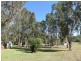 360 MIDGE POINT ROAD, Bloomsbury QLD 4799