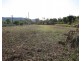 LOT 176 LINDEMAN DRIVE, Bloomsbury QLD 4799