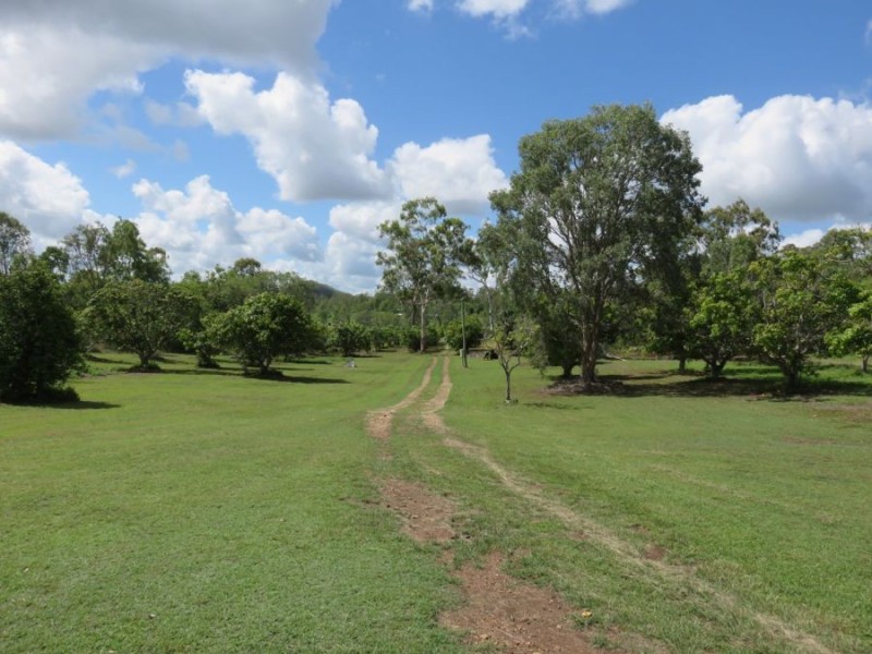 401 MIDGE POINT ROAD, Bloomsbury QLD 4799
