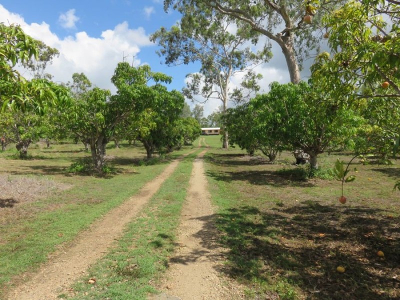 401 MIDGE POINT ROAD, Bloomsbury QLD 4799
