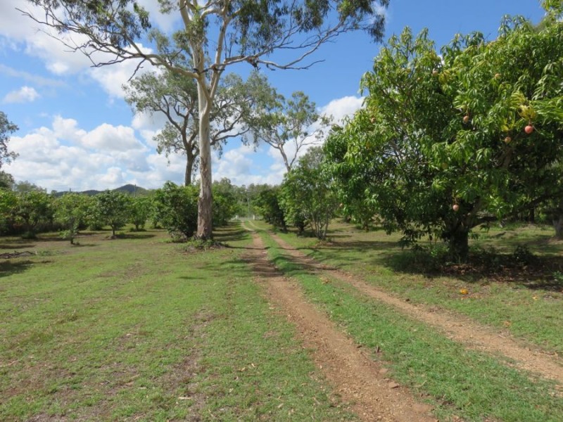 401 MIDGE POINT ROAD, Bloomsbury QLD 4799