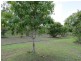 401 MIDGE POINT ROAD, Bloomsbury QLD 4799