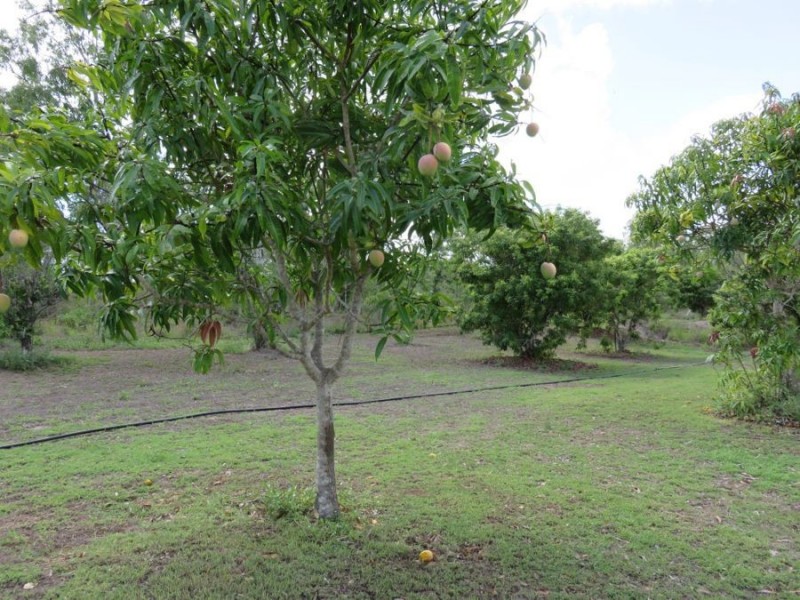 401 MIDGE POINT ROAD, Bloomsbury QLD 4799
