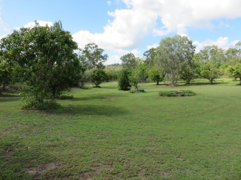 401 MIDGE POINT ROAD, Bloomsbury QLD 4799