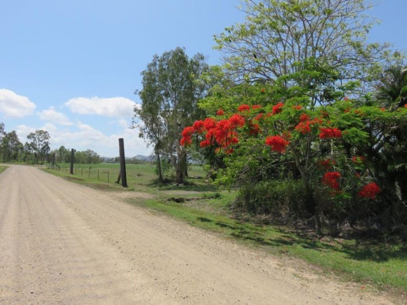 52 LITTLE BOGGA ROAD, Mount Pelion QLD 4741