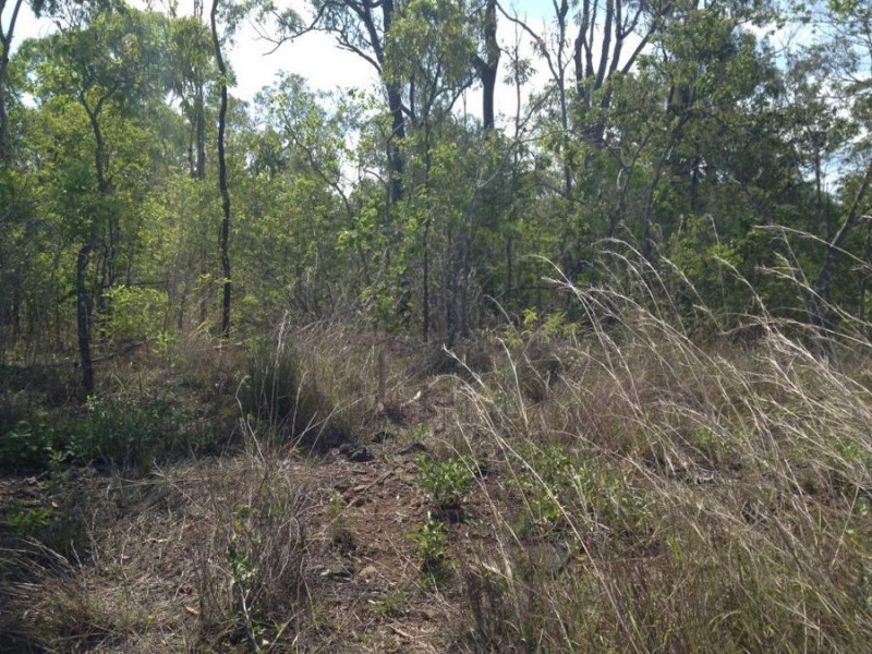 LOT 50 LELONA DRIVE, Bloomsbury QLD 4799