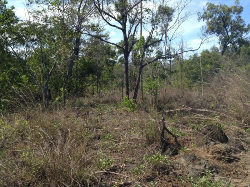 LOT 50 LELONA DRIVE, Bloomsbury QLD 4799