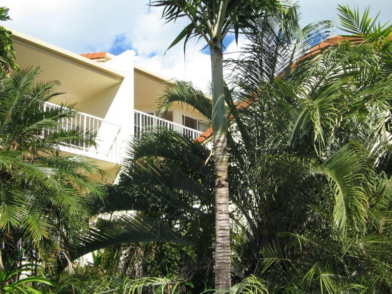 UNIT 30 REEFSIDE VILLAS 12 ESHELBY DRIVE, Cannonvale QLD 4802