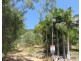 21 LAWSON STREET, Midge Point QLD 4799
