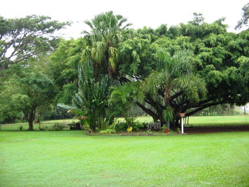 1696 CONWAY ROAD, Conway QLD 4800