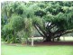 1696 CONWAY ROAD, Conway QLD 4800
