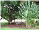 1696 CONWAY ROAD, Conway QLD 4800