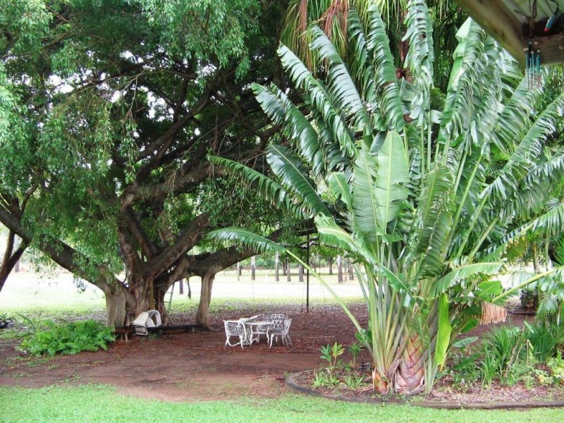 1696 CONWAY ROAD, Conway QLD 4800