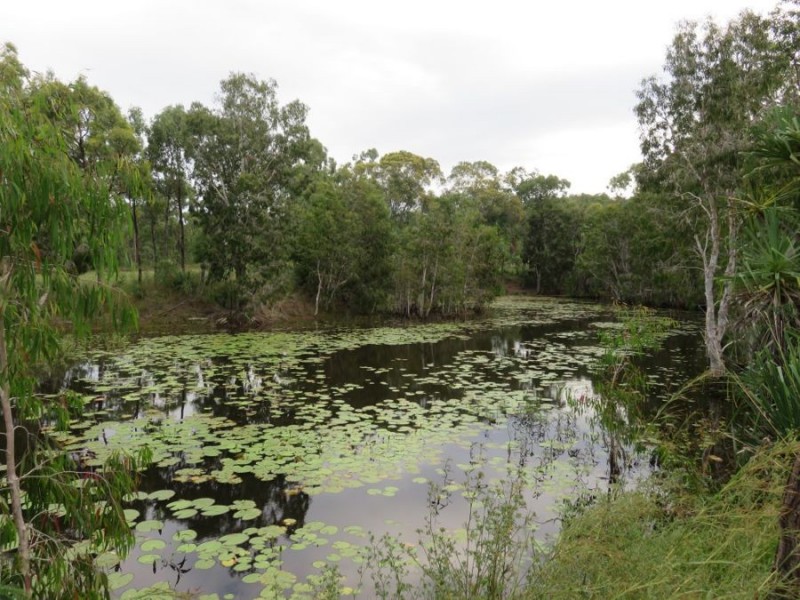 21 CONDER PARADE, Midge Point QLD 4799