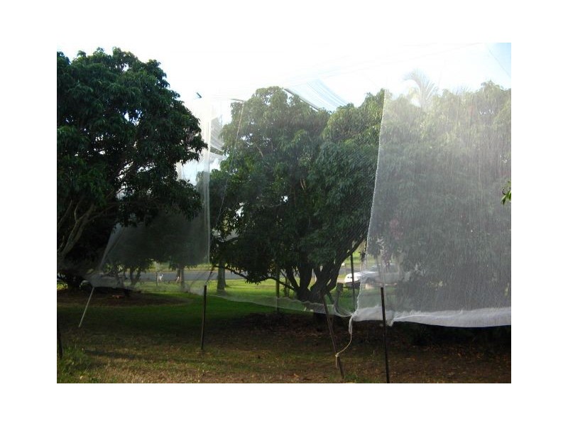 35 CALEN-MOUNT CHARLTON ROAD CALEN, Whitsundays QLD 4802