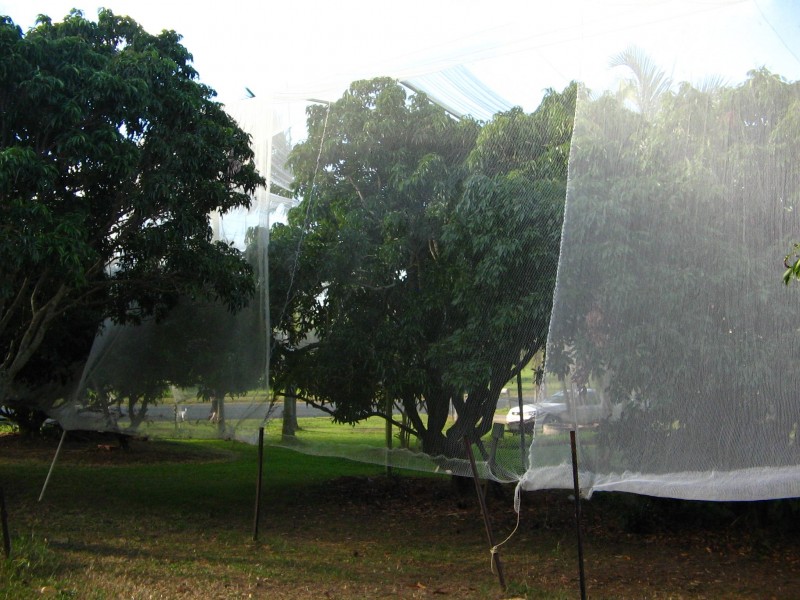 35 CALEN-MOUNT CHARLTON ROAD CALEN, Whitsundays QLD 4802