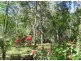 LOT 23 MOUNTNEY ROAD, Strathdickie QLD 4800