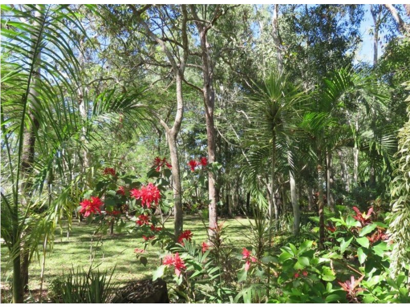 LOT 23 MOUNTNEY ROAD, Strathdickie QLD 4800