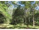 LOT 23 MOUNTNEY ROAD, Strathdickie QLD 4800