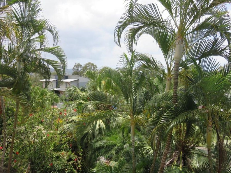 UNIT 20 REEFSIDE VILLAS 12 ESHELBY DRIVE, Cannonvale QLD 4802