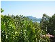 UNIT 22/12 REEFSIDE VILLAS ESHELBY DRIVE, Cannonvale QLD 4802