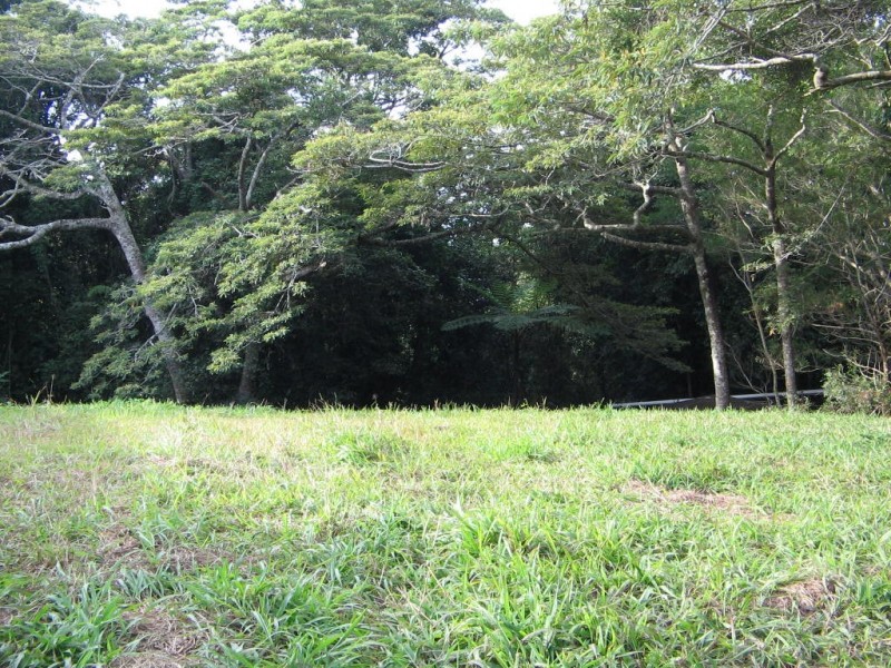 LOT 3 HOWIE STREET, Eungella QLD 4757