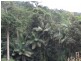 LOT 3 HOWIE STREET, Eungella QLD 4757