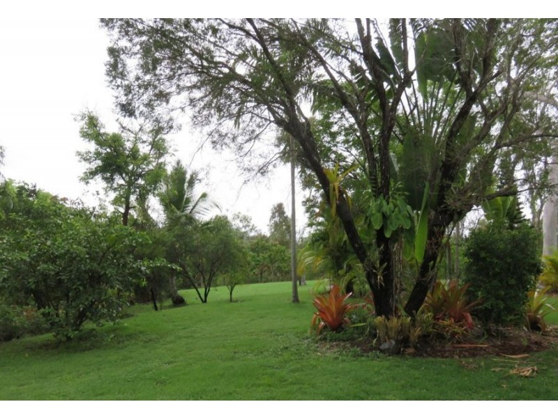 346 MIDGE POINT ROAD, Bloomsbury QLD 4799