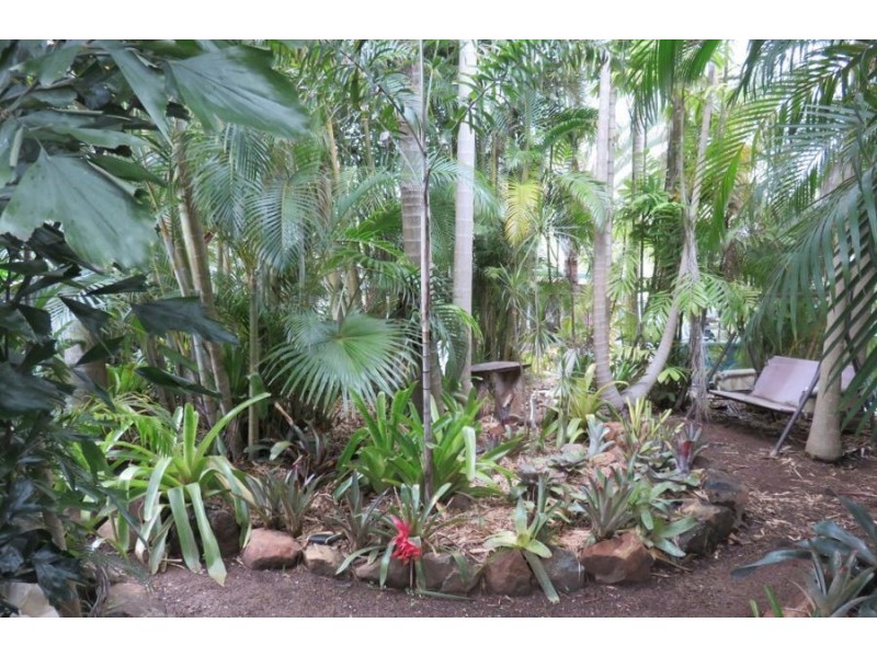 346 MIDGE POINT ROAD, Bloomsbury QLD 4799