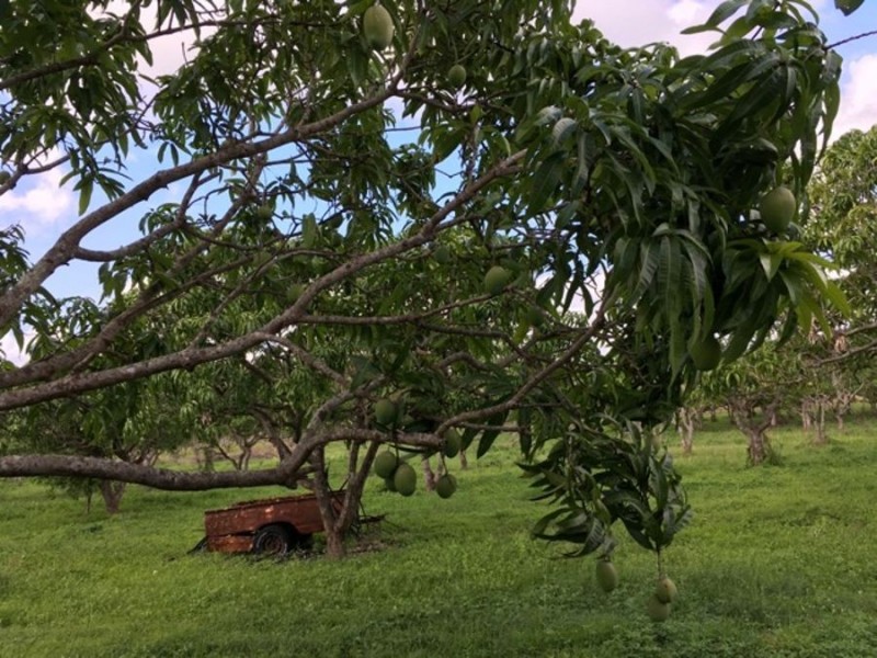 8553 BRUCE HIGHWAY, Bloomsbury QLD 4799