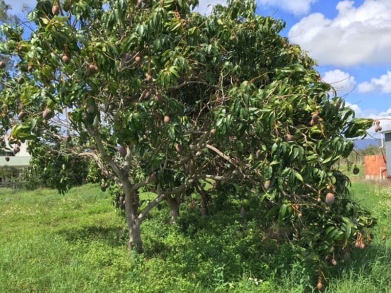 8553 BRUCE HIGHWAY, Bloomsbury QLD 4799