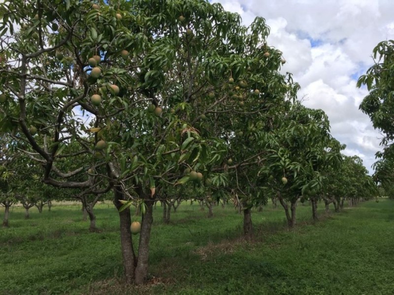 8553 BRUCE HIGHWAY, Bloomsbury QLD 4799