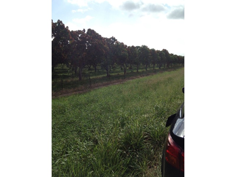 8553 BRUCE HIGHWAY, Bloomsbury QLD 4799